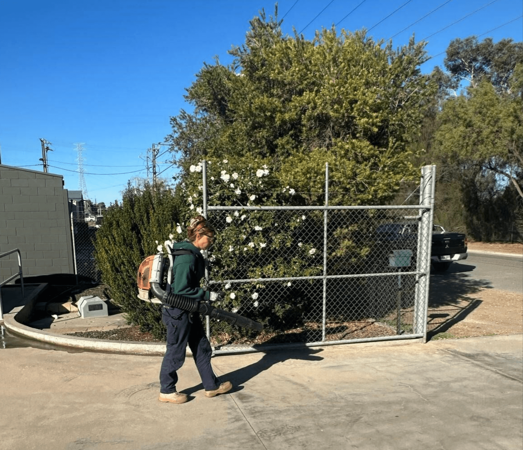 What it's like on the team